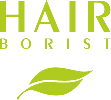 Logo Hairborist 01